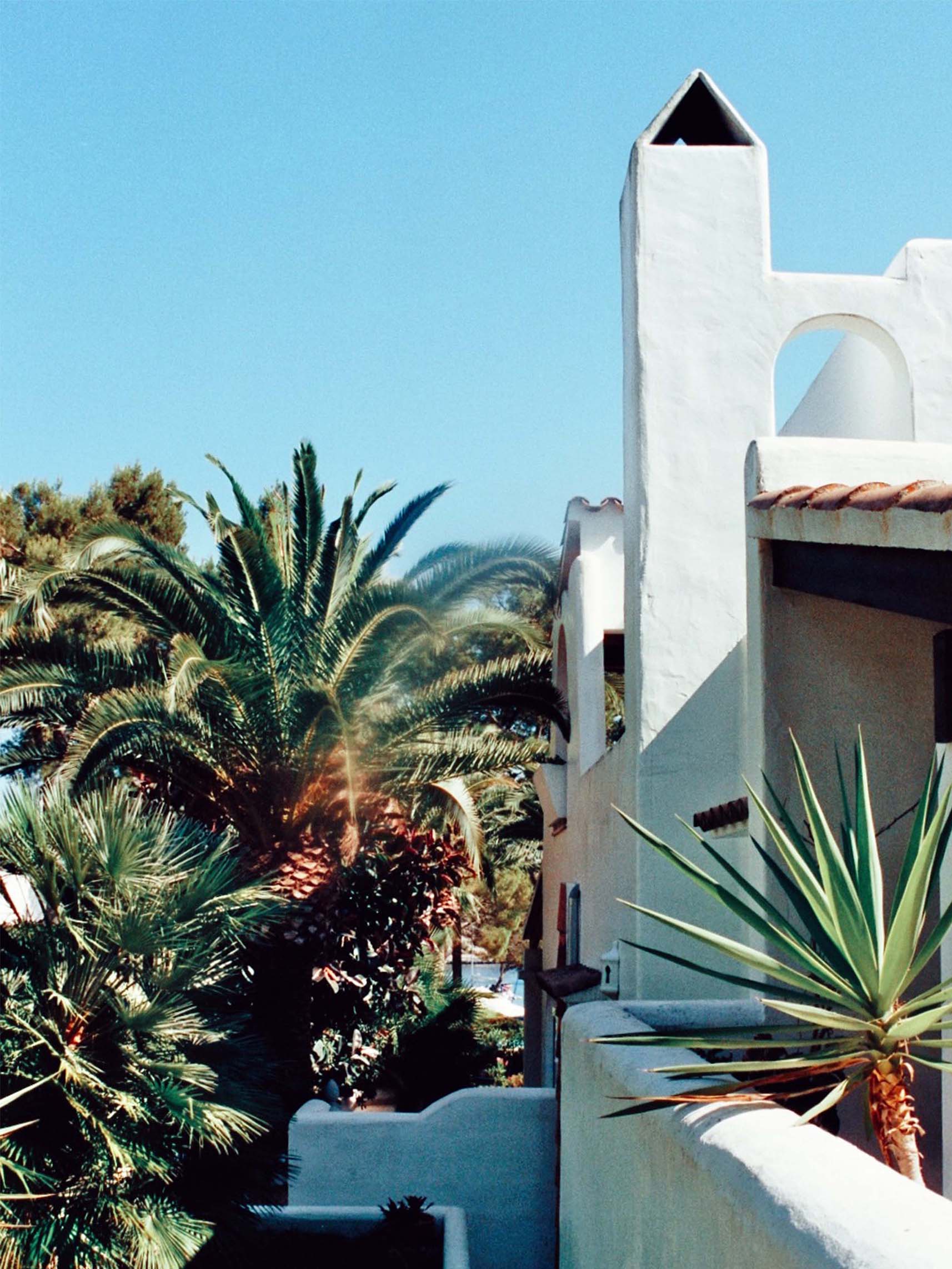 Ferienhaus Mallorca Palmen blauer Himmel