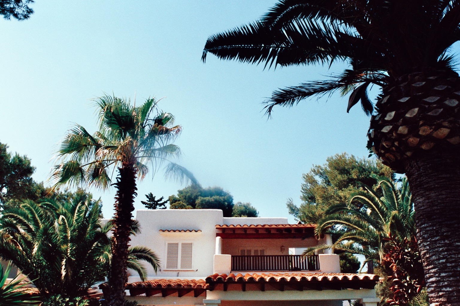 Ferienhaus Mallorca Palmen blauer Himmel