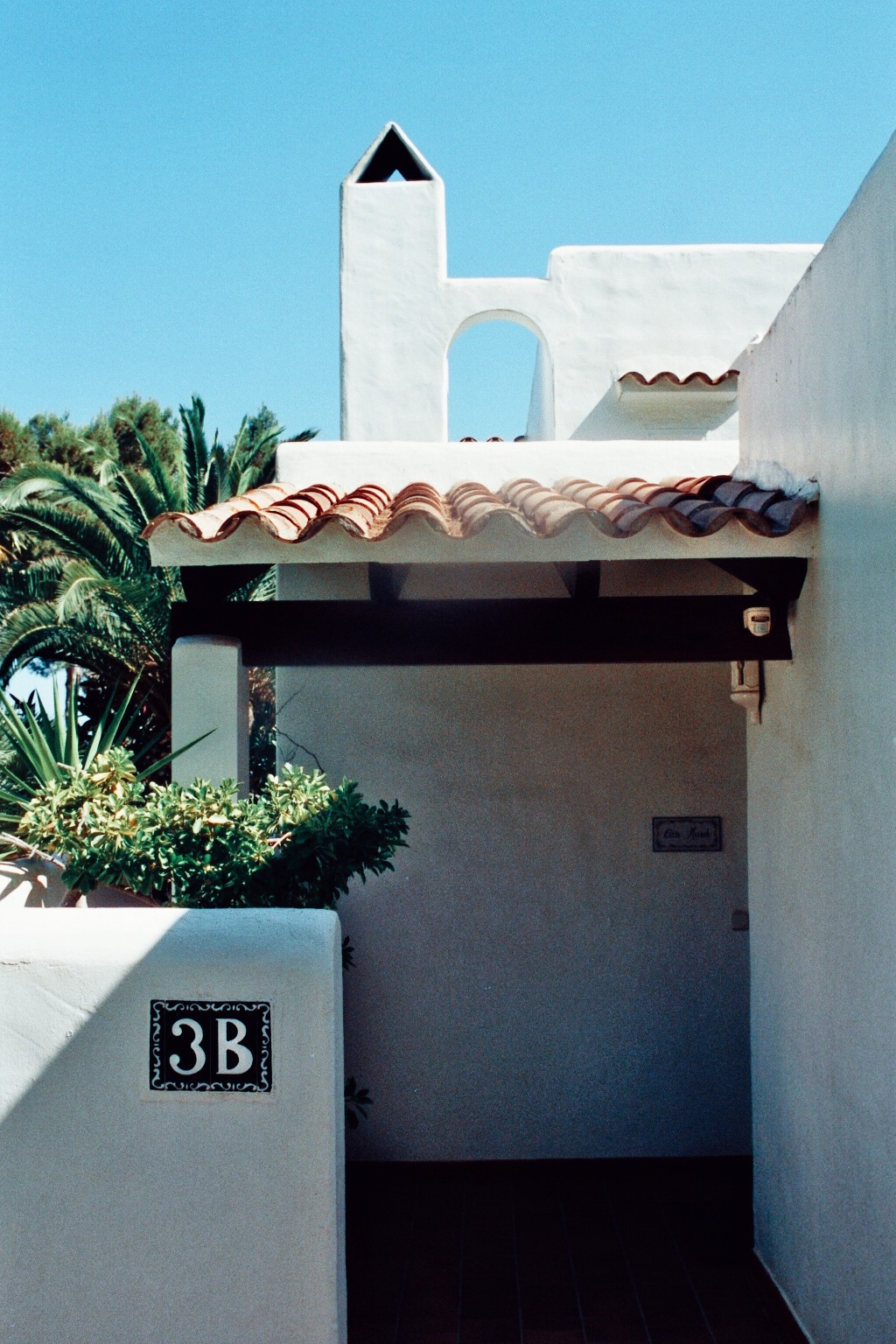 Ferienhaus Mallorca Palmen blauer Himmel