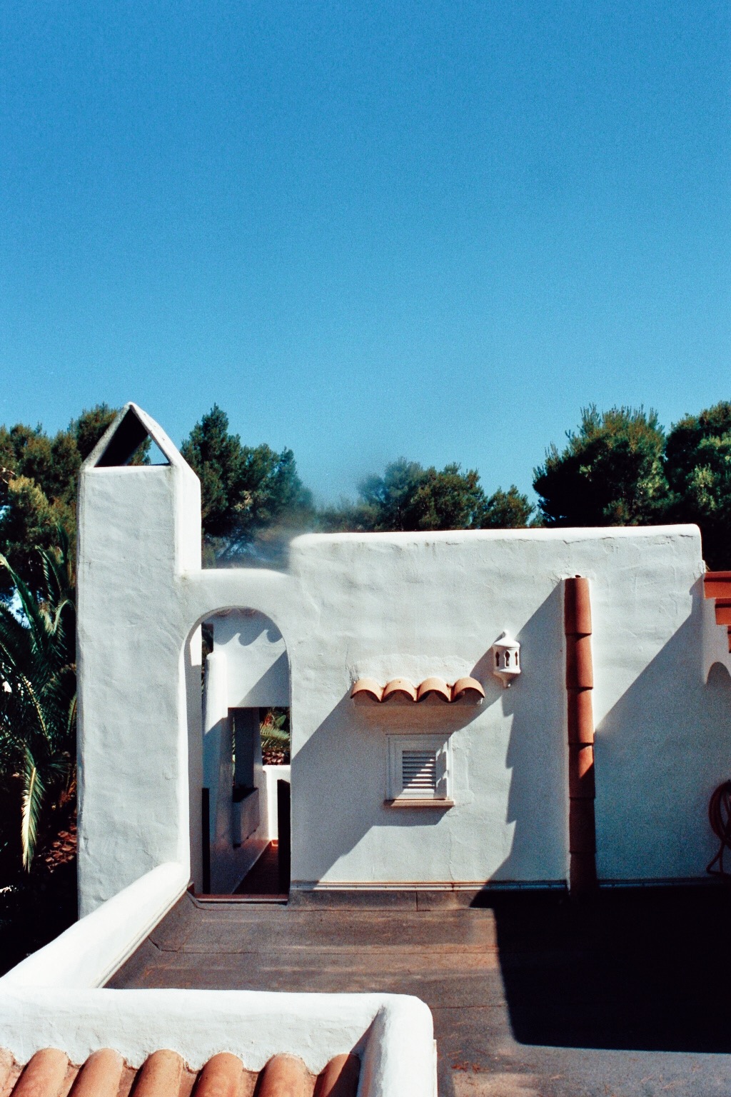Ferienhaus Mallorca Palmen blauer Himmel