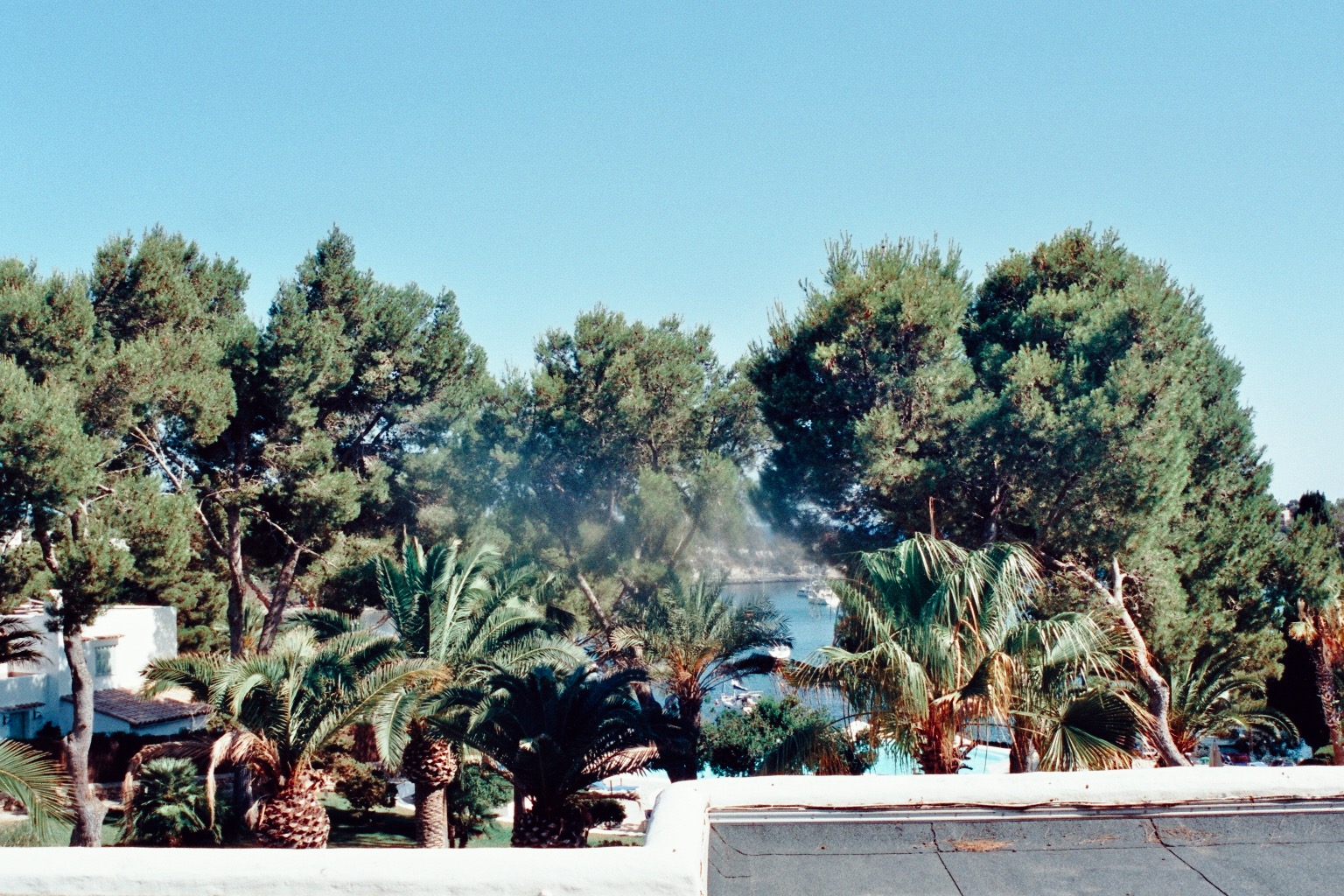 Ferienhaus Mallorca Palmen blauer Himmel