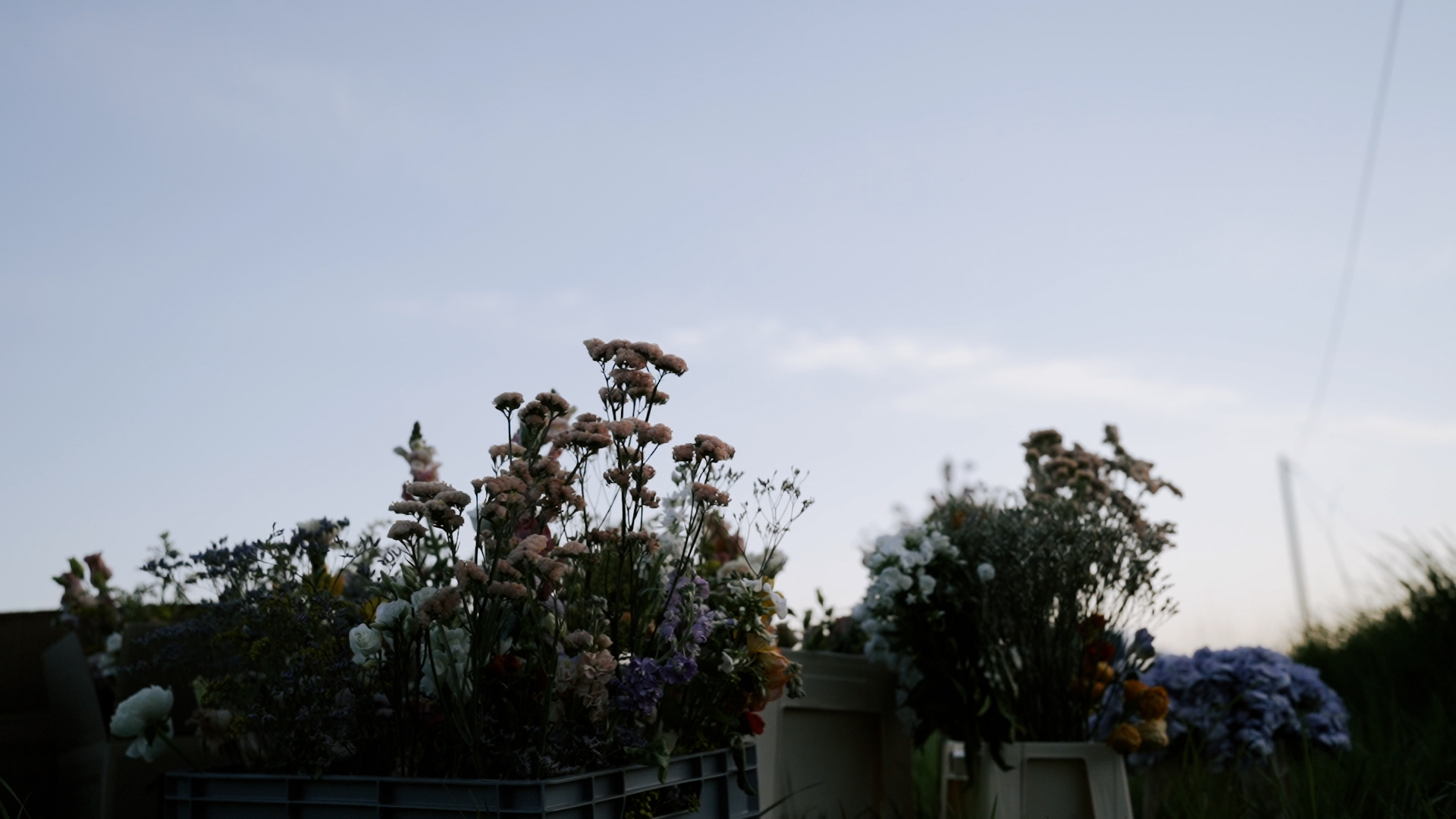 amelie-peters-films_corporate-film-TGW